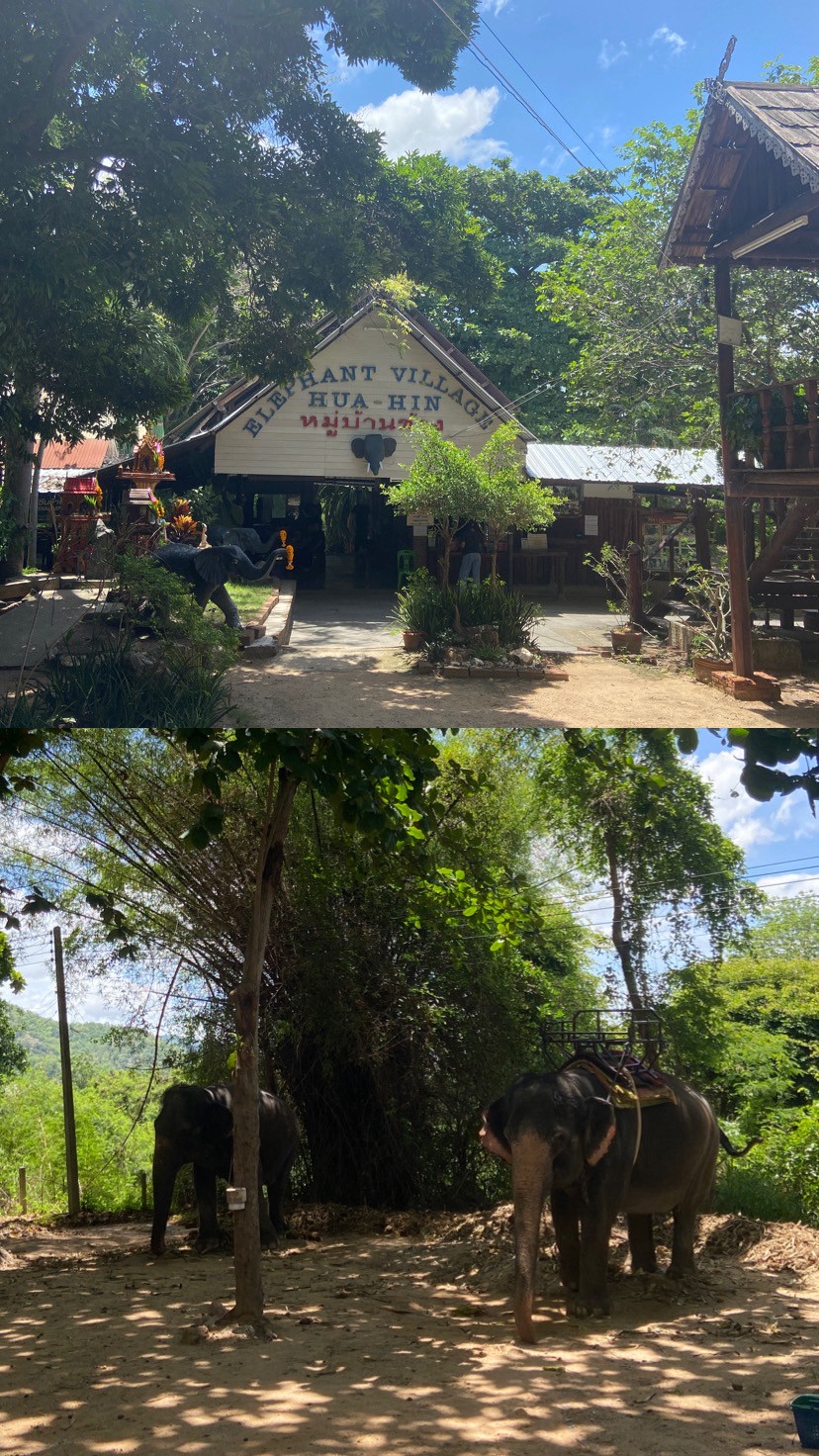 หมู่บ้านช้างหัวหิน Elephant Village Hua Hin 